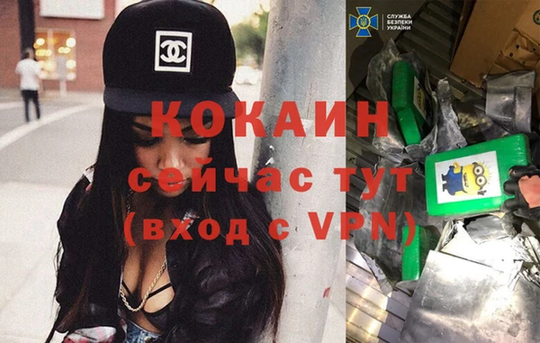 соль ск Алексин