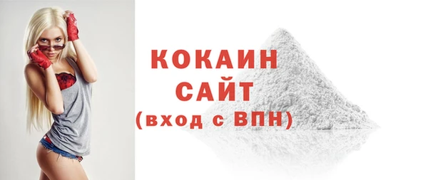 соль ск Алексин