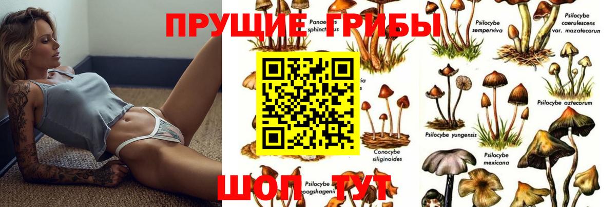 Галлюциногенные грибы Cubensis  Вход с VPN  Уфа 